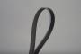 View Serpentine Belt Full-Sized Product Image 1 of 4